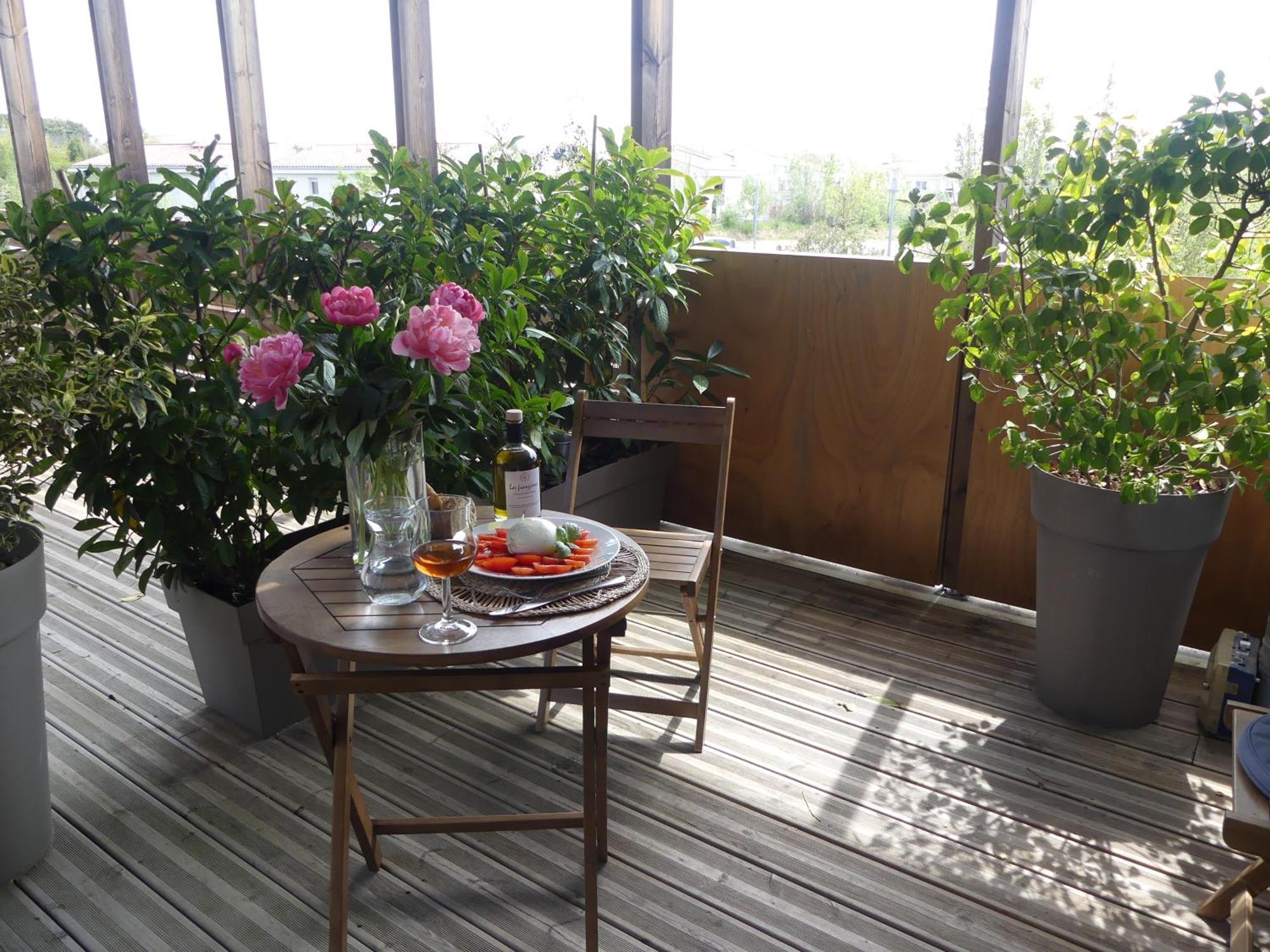 Studios Nuitee En Provence Aix-en-Provence Eksteriør bilde