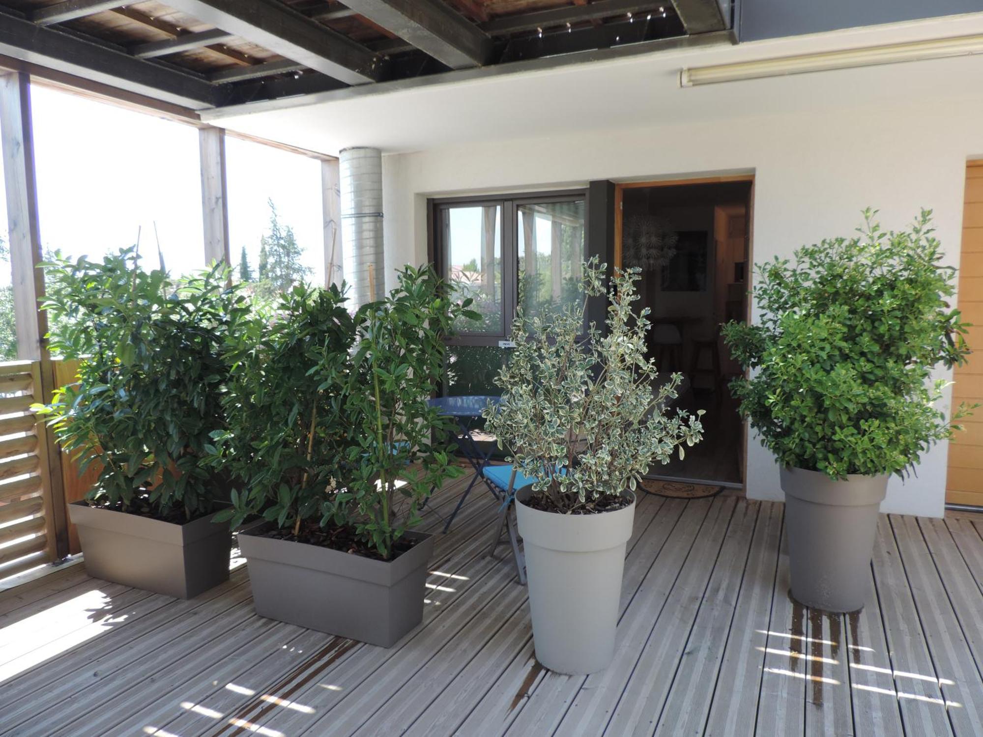 Studios Nuitee En Provence Aix-en-Provence Eksteriør bilde