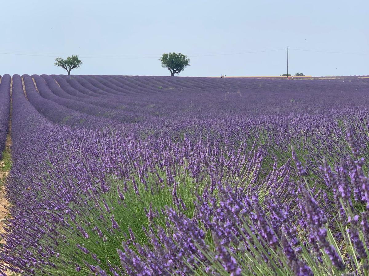 Studios Nuitee En Provence Aix-en-Provence Eksteriør bilde